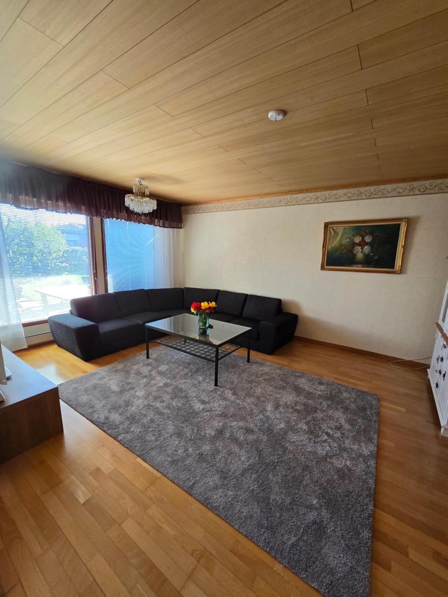 Anttoninvahe 7 130M2 With Garden And Sauna Etc Раума Екстериор снимка